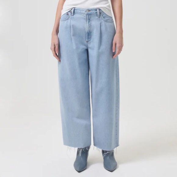 Agolde Dagna Pleat Baggy Jean